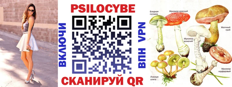 Псилоцибиновые грибы Cubensis Торжок